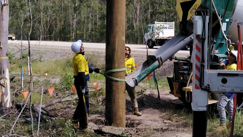 Fauna Crossings Poles Install